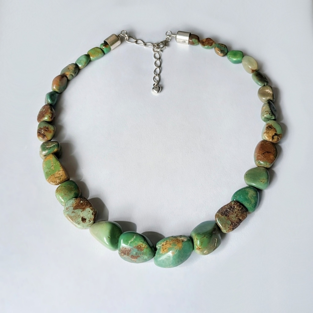 Jay King Desert Rose Trading necklace Sterling silver Green turquoise DTR 925